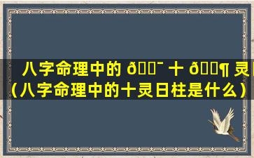 八字命理中的 🐯 十 🐶 灵日（八字命理中的十灵日柱是什么）